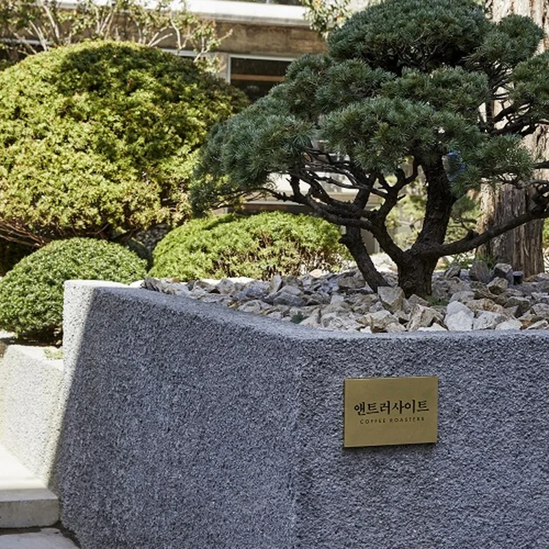 A planted garden and Anthracite nameplate mark the entrance to the Seogyo house café.