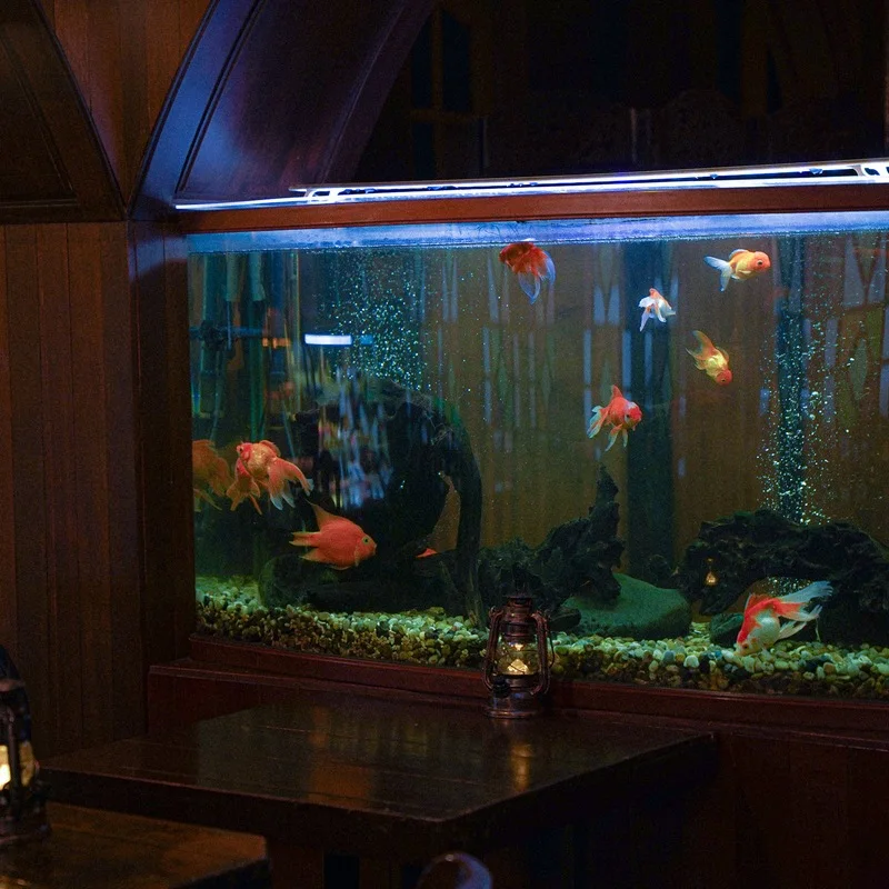 Large goldfish aquarium above an antique wooden table inside Coffee Hanyakbang Hyehwa.